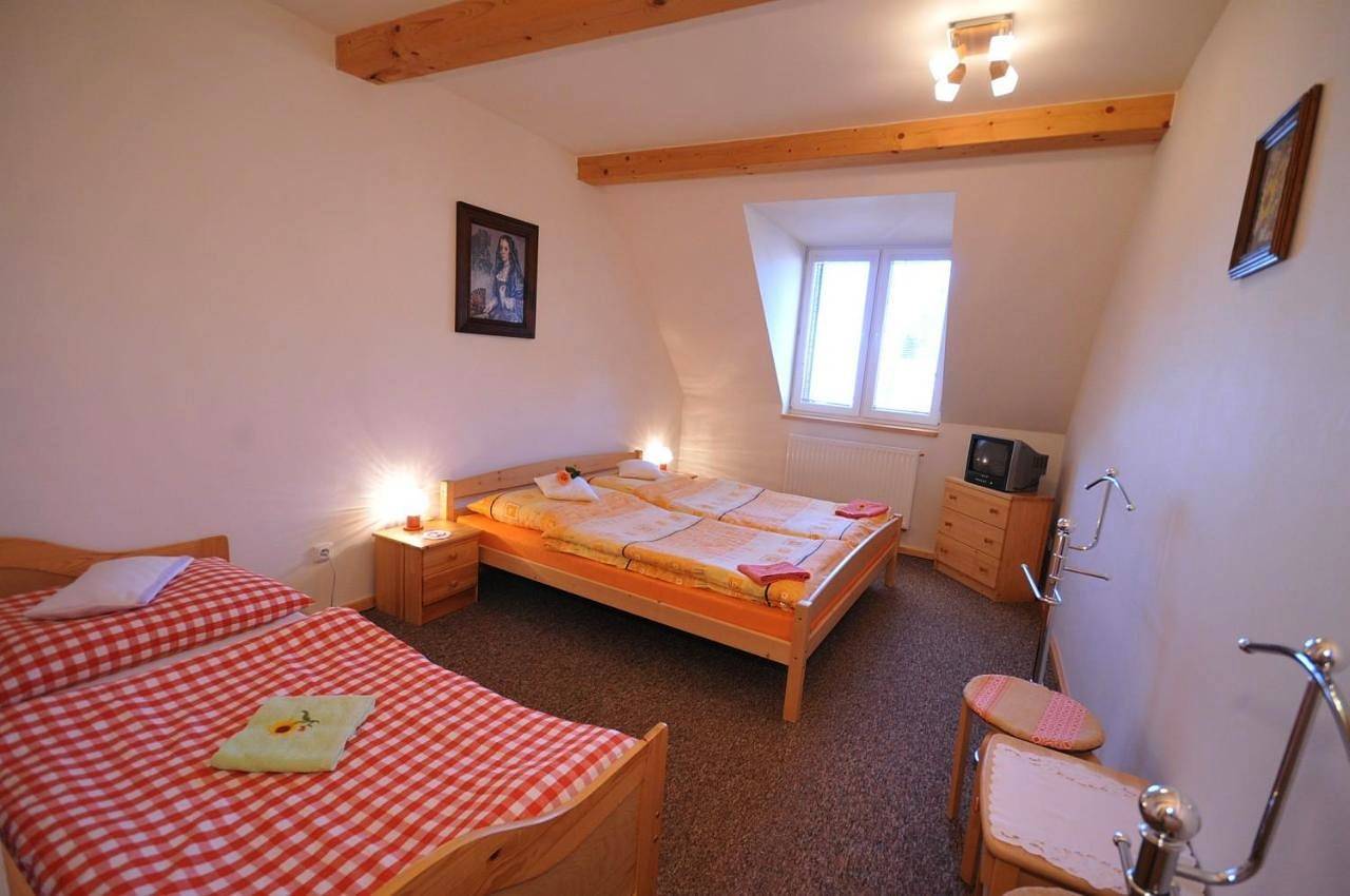 Twin Room with Private Bathroom in Montes Pieninos