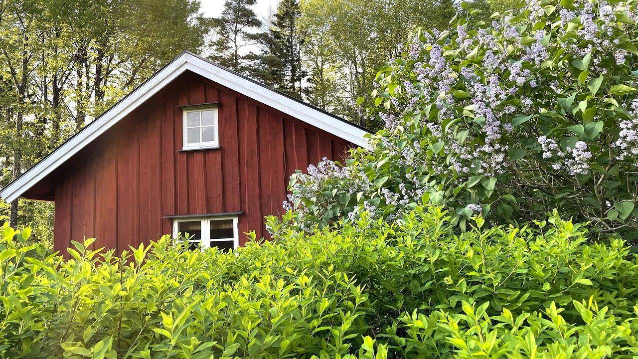 Ferienhaus für 3 Personen (45 m²) in Uddevalla in Dalsland