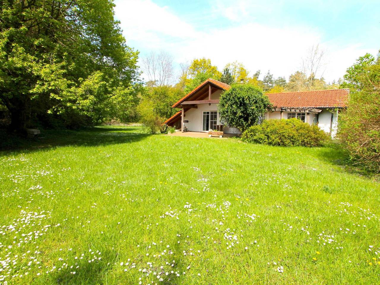 Ganze Ferienwohnung, >Haus am Wald Nr. 2< idyllisch ruhig im Naturschutzgebiet - >Haus am Wald 2 in Teßmannsdorf, Salzhaff