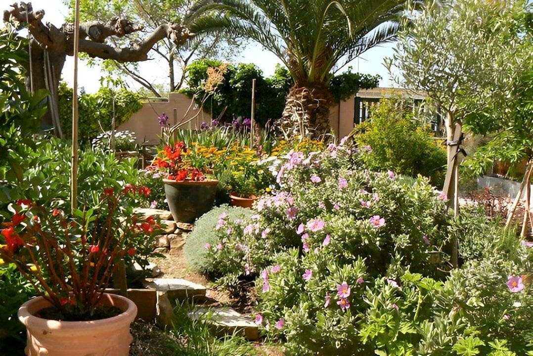 L'Escale Tranquille - Chambre "Sous l'Olivier" in Sète, Côte d'Améthyste