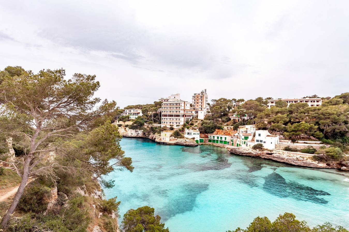 Drac 2 in Cala Santanyí, Santanyí