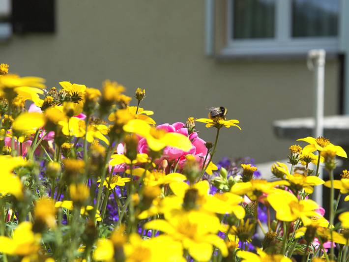 Ganze Ferienwohnung, Haus Wanner - 6-Bettwohnung in Splügenpass, Rheinwald