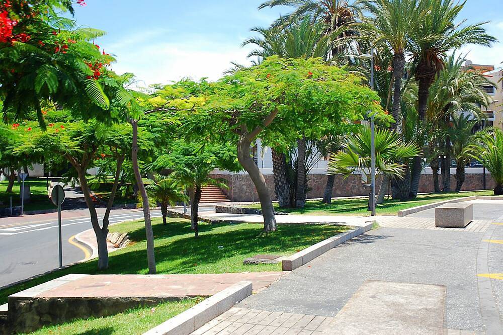 Entire apartment, Las Americas, 2 People, Wifi, Pool, Sea View And Pool in Playa de Troya, Adeje