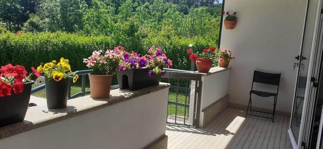 Location de vacances pour 6 personnes, avec piscine et jardin, animaux acceptés à Celorico de Basto - 4