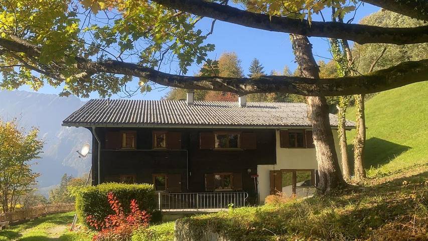 Vakantiehuis voor 10 personen, met terras, met huisdier in Bartholomäberg