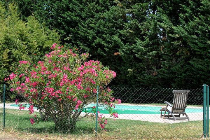 Les oliviers in Thuir, Mediterranean Coast (France)