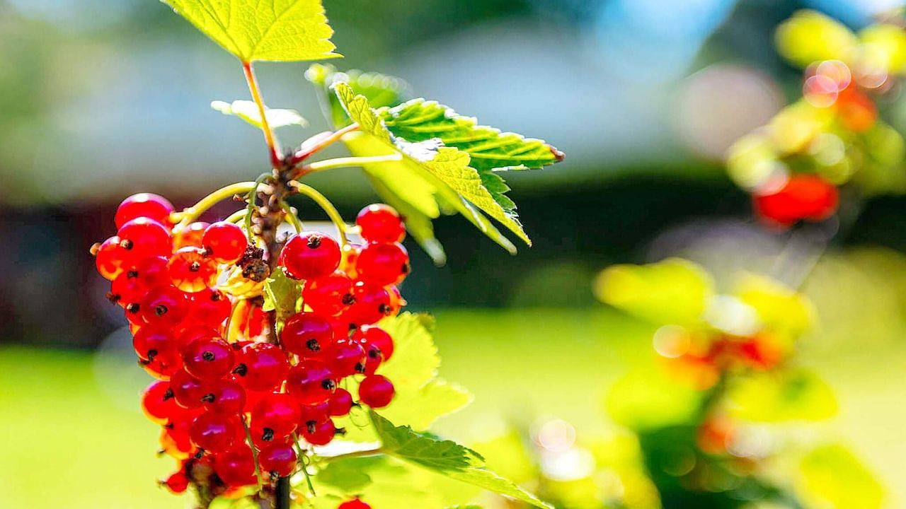 Ferienhaus für 6 Personen (60 m²) in Sandefjord in Sandefjord