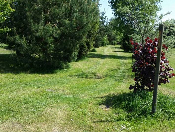 Ferienhaus für 5 Personen, mit Terrasse und Garten, kinderfreundlich in Ueckermünde - 3