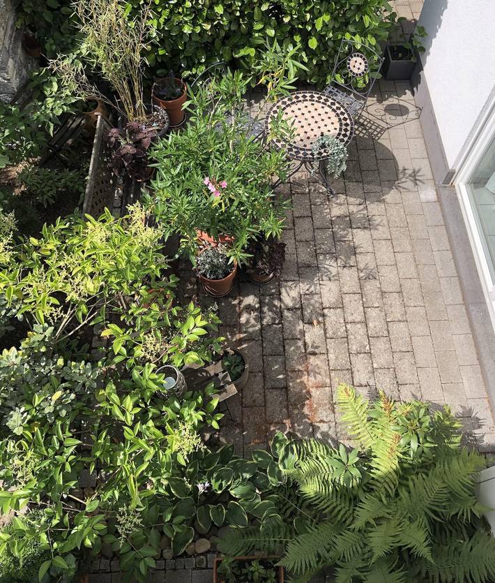 Ferienwohnung für 4 Personen, mit Terrasse in Koblenz - 2