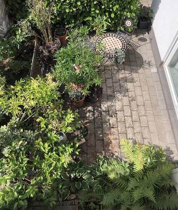 Ferienwohnung für 4 Personen in Koblenz, Osteifel, Bild 1