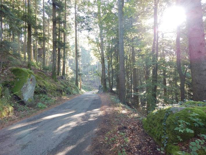 Location de vacances pour 5 personnes, avec jardin et vue, animaux acceptés à Dabo - 2