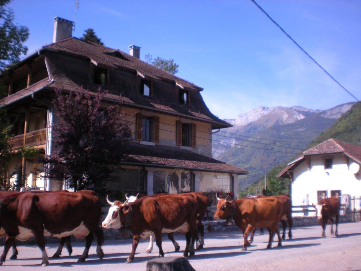 Gîte Les Mésanges in Thônes, Région d'Annecy
