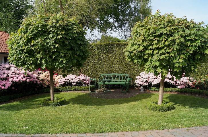 Ferienhaus für 4 Personen, mit Garten in Nordrhein-Westfalen - 3