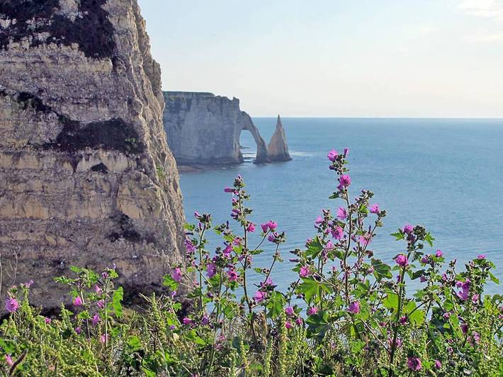 Chambre d’hôte pour 2 personnes en Normandie - 2
