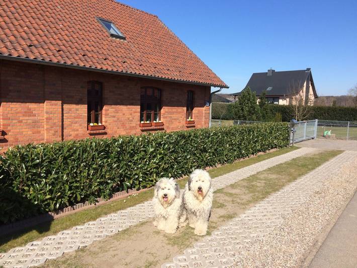 Ferienhaus für 8 Personen, mit Terrasse und Garten in Kargow