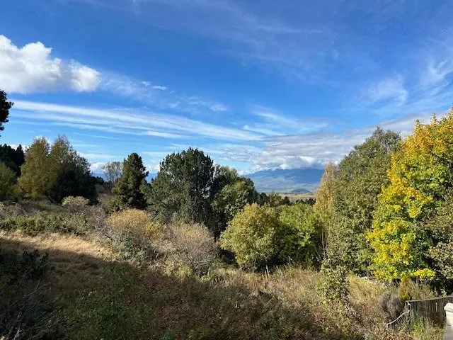 Chalet pour 8 personnes, avec jardin - 1