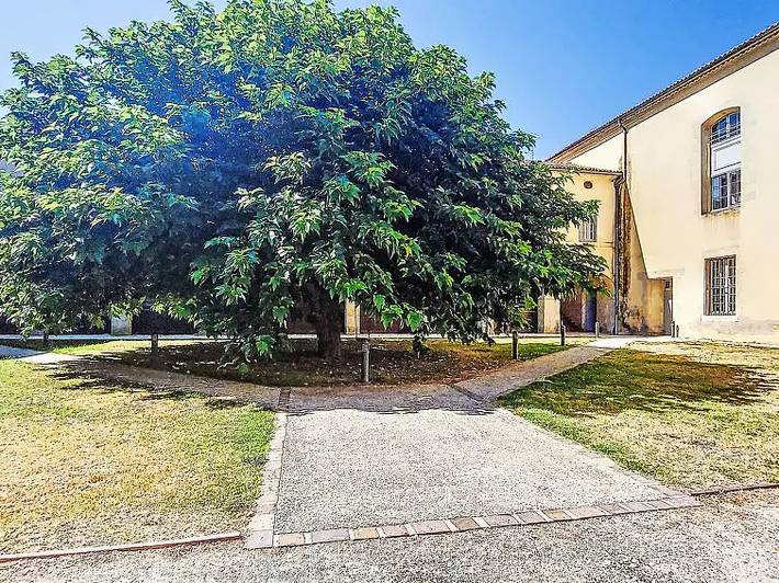 Apartamento de vacaciones para 2 personas, con jardín - 1
