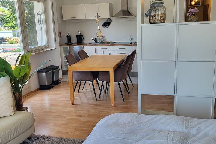 Ganze Wohnung, Ferienwohnung Bodensee 2 Zimmer hell u. modern mit Seesicht in Gaienhofen, Untersee
