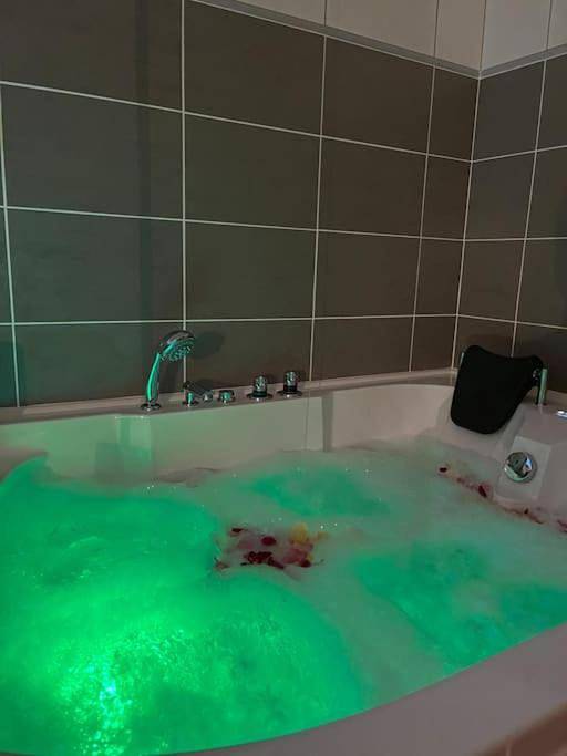 Gîte pour 2 personnes, avec jacuzzi à Villeneuve-sur-Yonne - 3