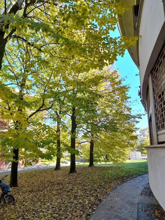 Gîte pour 3 personnes, avec jardin et vue à Crema - 3