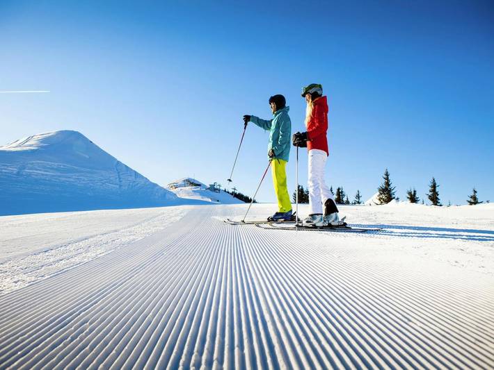 Ferienhaus für 8 Personen, mit Terrasse und Pool, mit Haustier in Österreich - 4