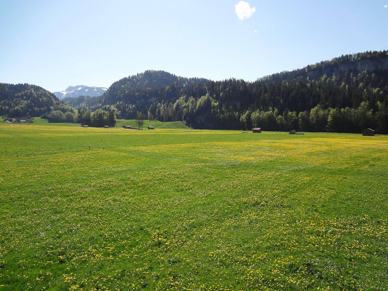 Ganze Ferienwohnung, Apartment Magdalena - Apartment Magdalena in Bezau, Bregenzerwald