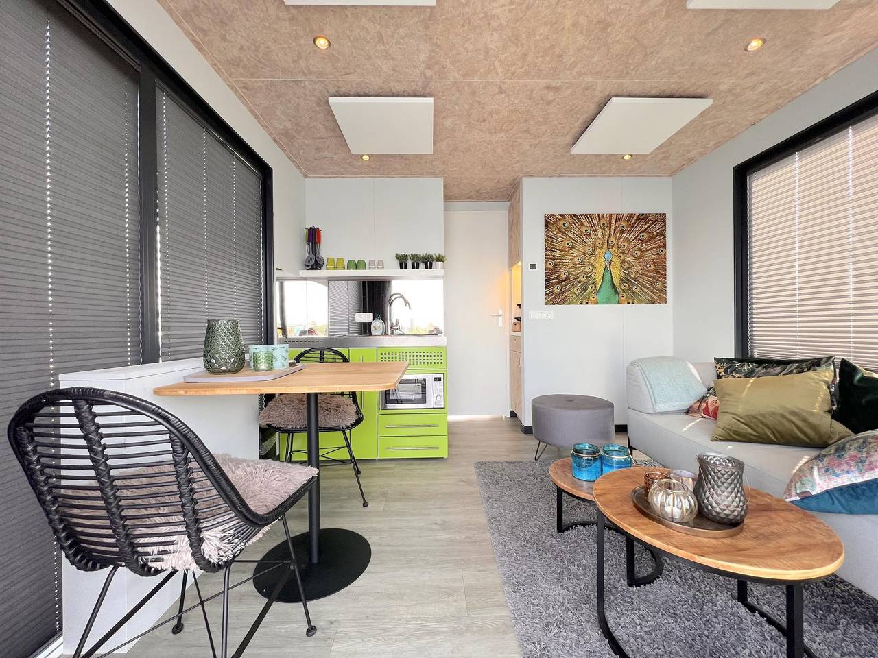 Luxe huisboot op prachtige locatie in Maasbommel in Maasbommel, Betuwe