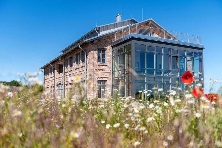 Ferienhaus für 4 Personen, mit Garten und Sauna sowie Pool, mit Haustier in Dassow - 3