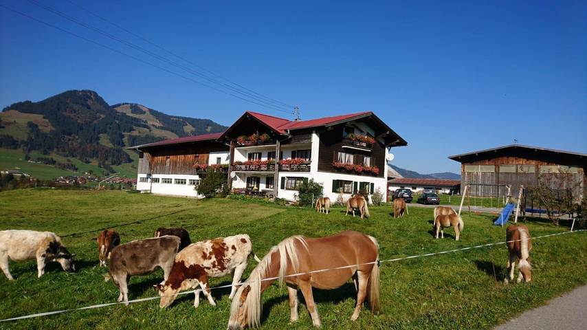 Vakantiehuis voor 5 personen, met Balkon en Tuin in Landkreis Oberallgäu