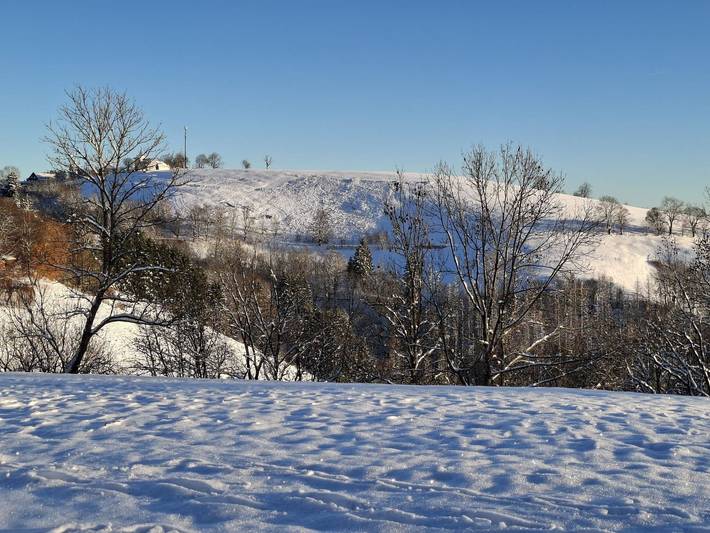 Ferienwohnung für 2 Personen, mit Garten und Terrasse, mit Haustier in Braunlage - 2