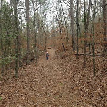 Log Cabin for 10 Guests in Broken Bow Lake, Oklahoma, Picture 1