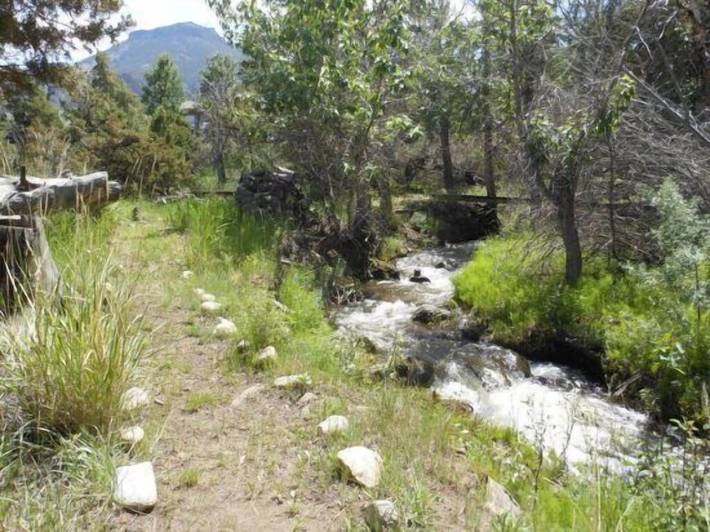 Location de vacances pour 7 personnes, avec terrasse, animaux acceptés à Wapiti - 4