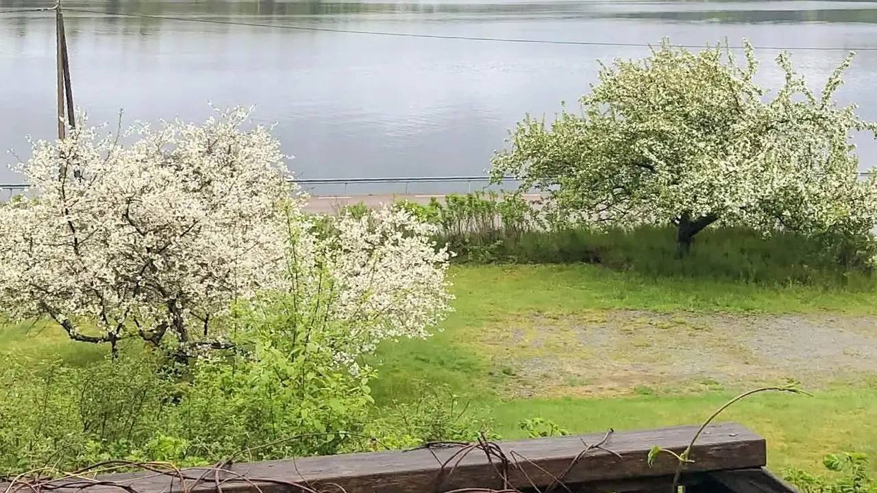Ferienhaus für 3 Personen (40 m²) in Bengtsfors, Dalsland