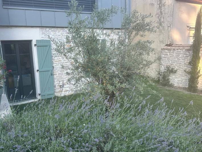 Gîte pour 6 personnes, avec jardin à Messigny-et-Vantoux - 4