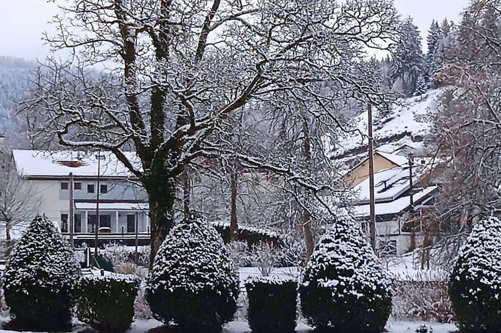 Apartamento entero, Charming, Comfortable 2-Person Studio in Gérardmer, Parque natural regional de los Ballons des Vosges