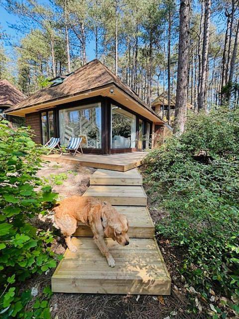 Location de vacances pour 6 personnes, avec jardin dans Golf des Pins (Hardelot-Plage) - 2