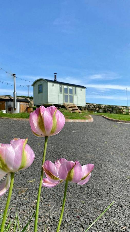 The Stone Wall Hideaway in County Antrim