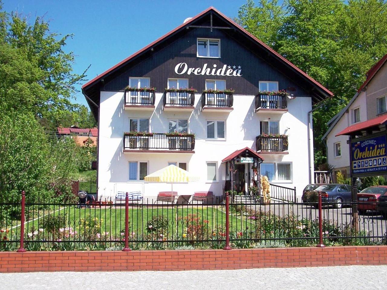Orchidea in Szklarska Poręba, Sudety (Polska)