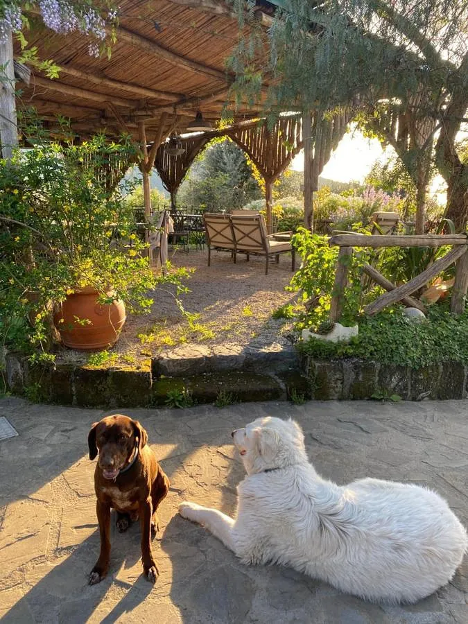 Tienda para 2 personas, con vistas además de piscina y jardín, Se admiten mascotas - 1