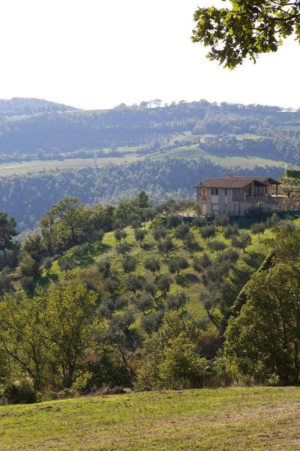 Location de vacances pour 22 personnes, avec jardin ainsi que piscine et vue, animaux acceptés à Gualdo Cattaneo - 2