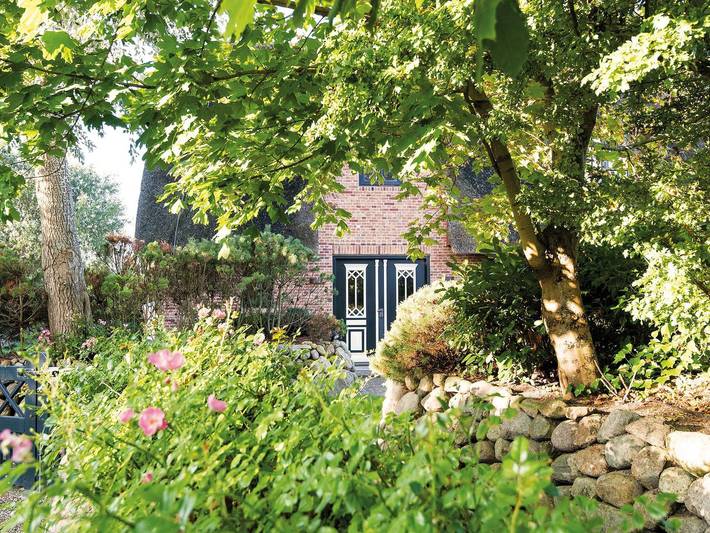 Ferienhaus für 6 Personen, mit Terrasse und Sauna, mit Haustier - 1