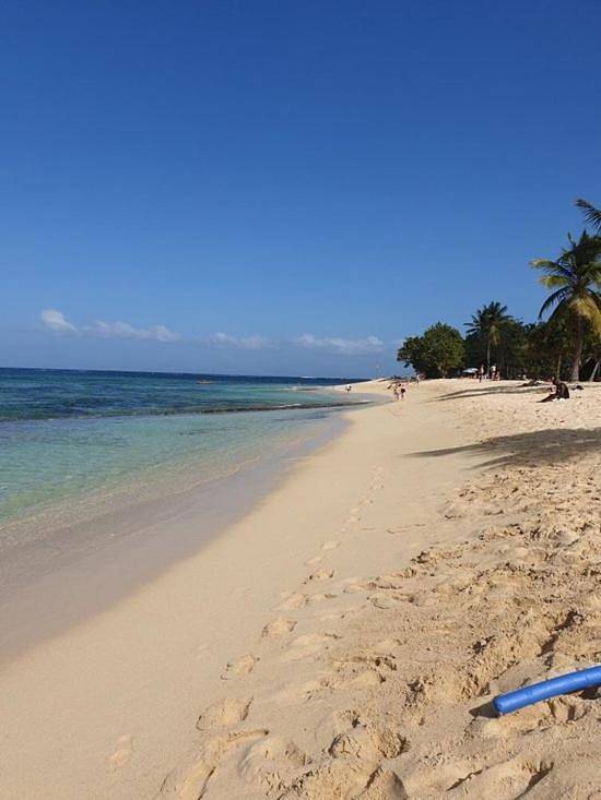 Maison d’hôte pour 6 personnes, avec jardin et vue à Le Moule - 4
