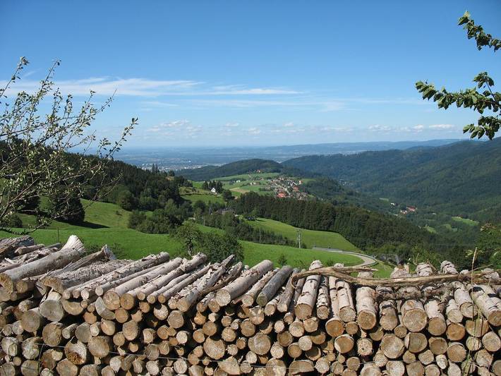 Bauernhof für 4 Personen, mit Sauna und Garten, kinderfreundlich in Suedlicher Schwarzwald - 3