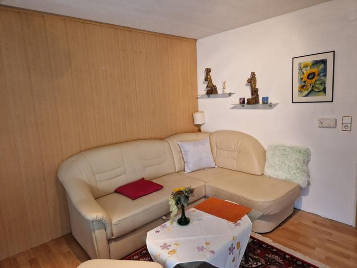 Ganze Ferienwohnung, Appartement 1 in Karwendel (Tirol), Eben am Achensee