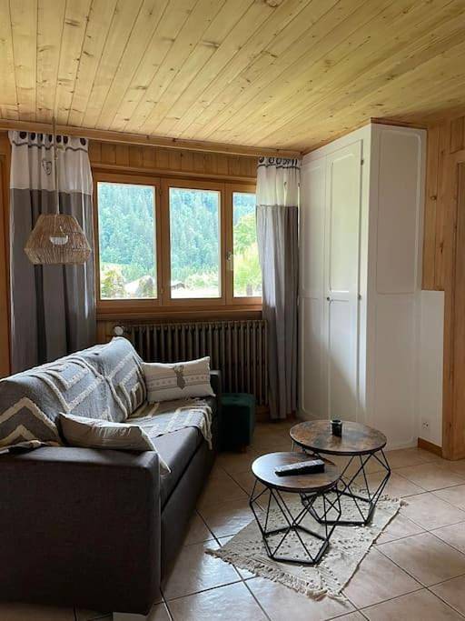 Gîte pour 3 personnes, avec vue et jardin, animaux acceptés dans Les Diablerets - 4