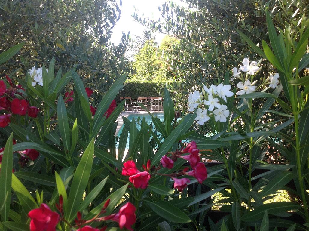 Grand mas provençal, de 18 à 26 personnes ( prix en fonction ) in Monteux, Vaucluse