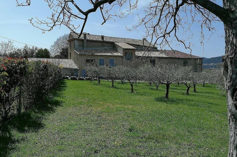 Gite Amande Domaine De L'Annonciade animaux de compagnie acceptés in Les Mées, Alpes-de-Haute-Provence