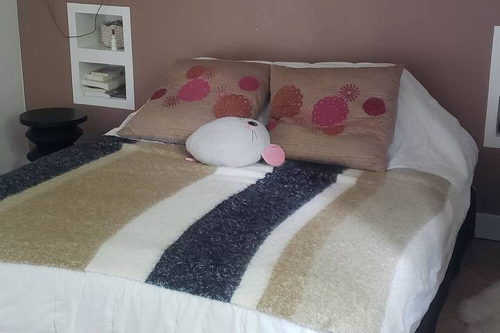 Location de vacances pour 8 personnes, avec terrasse et jardin à Pibrac - 2