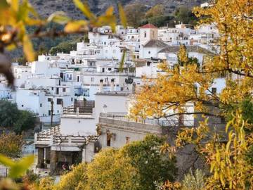 Vakantiewoning voor 4 Personen in Pradollano, Monachil, Afbeelding 2