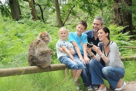 Gîte pour 4 personnes, avec vue et jardin à Fréland - 3